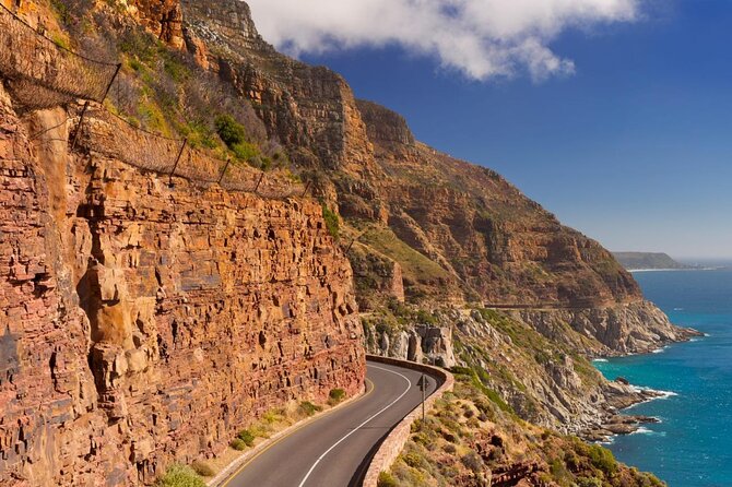 Cape Town Shore Excursion: Private Small Group Cape Point Tour - Overview and Itinerary