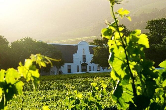 Cape Town Shore Excursion: Private Small Group Groot Constantia - Tour Details