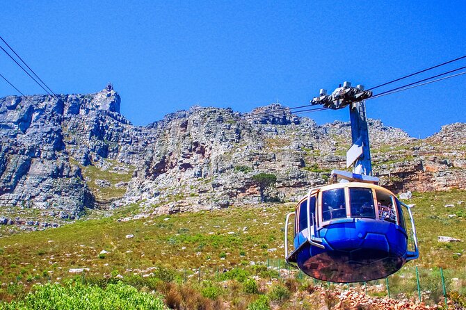 Cape Town Shore Tour: Table Mountain, Penguin & Cape Point - Cancellation Policy and Refund Details