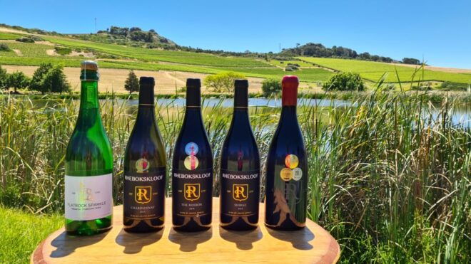 Cape Town: Sip 15 Wines on a 3-Region Wine Tour With Cheese - Wine Tasting Experience