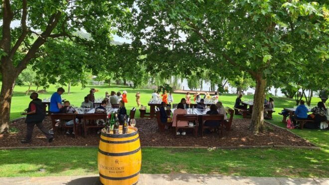 Cape Town: Sip 15 Wines on a 3-Region Wine Tour With Cheese - Highlights of the Tour