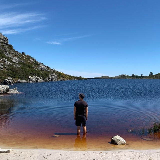 Cape Town: Skeleton Gorge and Kirstenbosch Gardens Hike - Inclusions