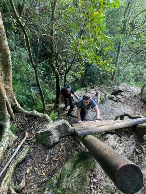 Cape Town: Skeleton Gorge and Kirstenbosch Gardens Hike - Restrictions