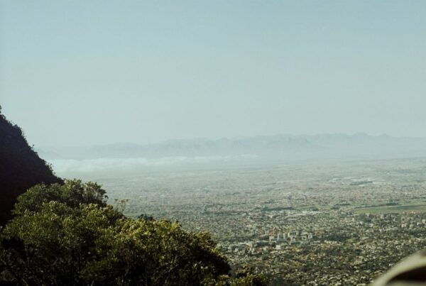 Cape Town: Skeleton Gorge and Kirstenbosch Gardens Hike - Customer Reviews