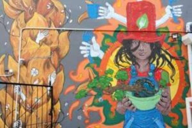Cape Town Street Art Walking Tour - Tour Highlights