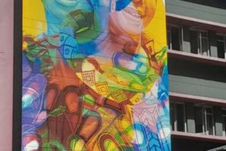 Cape Town Street Art Walking Tour - Inclusions