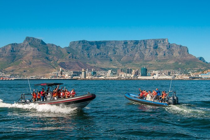 Cape Town Sunrise RIB Safari Cruise - Whats Included