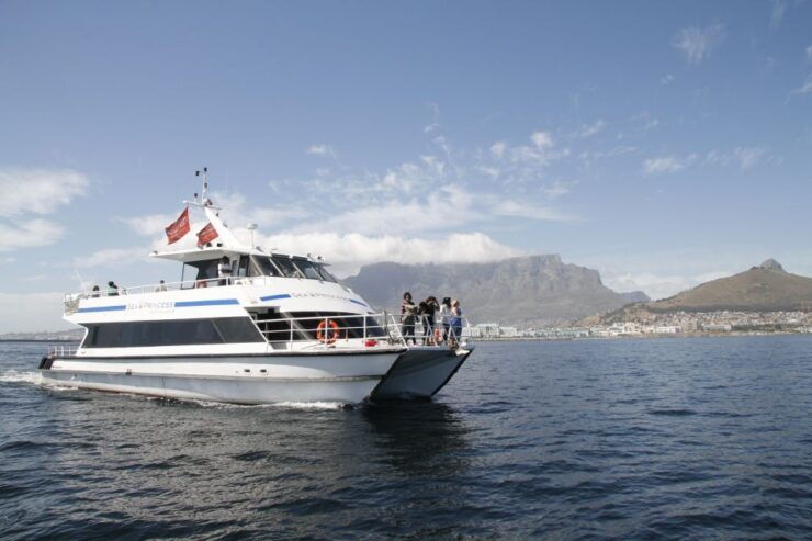 Cape Town: Sunset Champagne Cruise and 3-Course Dinner - Good To Know