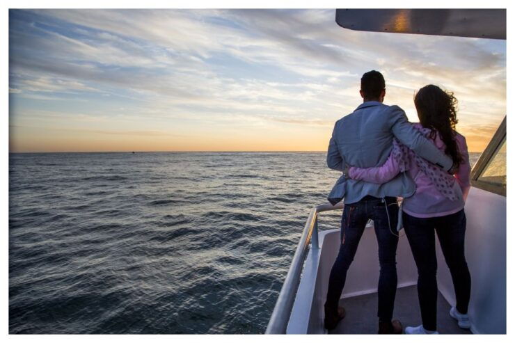 Cape Town: Sunset Champagne Cruise and 3-Course Dinner - Experience Highlights