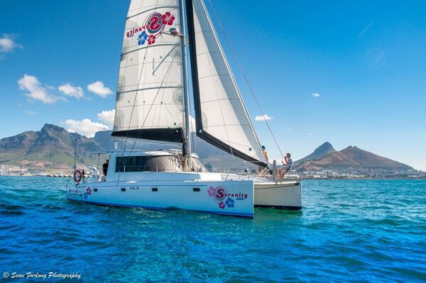 Cape Town: Sunset Champagne Cruise and 3-Course Dinner - The Sum Up