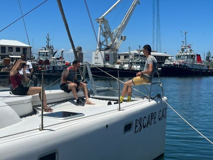 Cape Town: Sunset Cruise by Catamaran to Table Bay - Cruise Highlights
