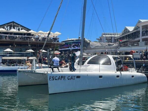 Cape Town: Sunset Cruise by Catamaran to Table Bay - Customer Reviews and Ratings