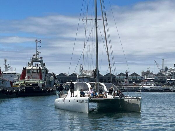 Cape Town: Sunset Cruise by Catamaran to Table Bay - Additional Information and Important Details