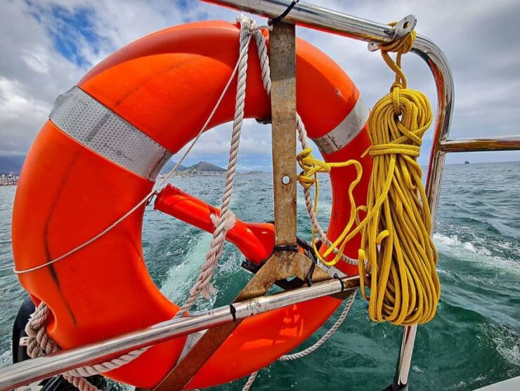 Cape Town: Table Bay Cruise by Catamaran - Pricing and Discounts