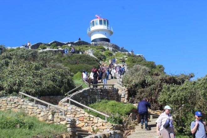 Cape Town : Table Mountain Cape Point Boulders Penguins - Inclusions