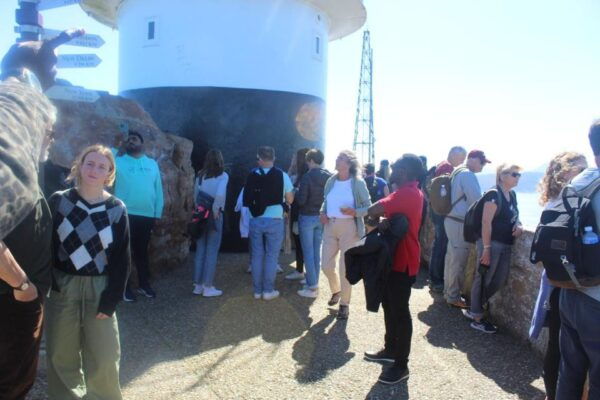 Cape Town : Table Mountain Cape Point Boulders Penguins - The Sum Up
