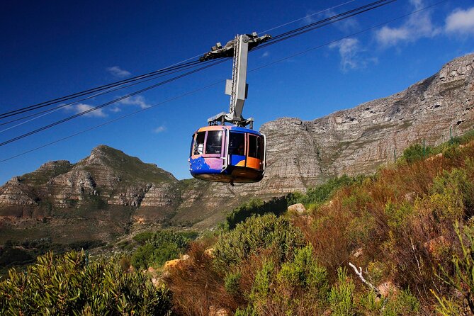 Cape Town Table Mountain Cape Point Penguins Full-Day Private Tour - Itinerary Overview