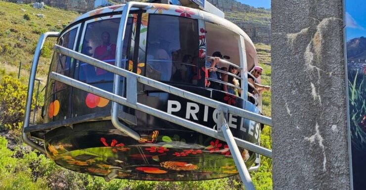 Cape Town: Table Mountain, Cape Point, & Penguins Group Tour - Tour Details