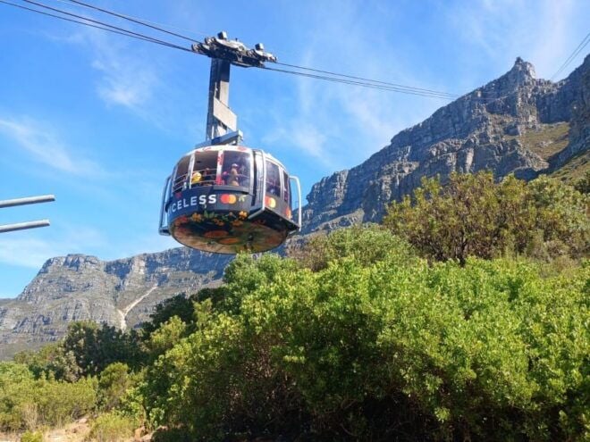 Cape Town: Table Mountain, Cape Point, & Penguins Group Tour - Customer Reviews