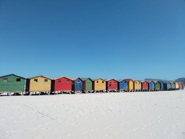 Cape Town: Table Mountain, Cape Point, & Penguins Group Tour - The Sum Up