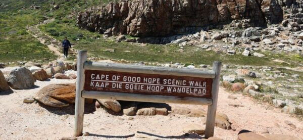 Cape Town: Table Mountain, Penguins & Cape Point Group Tour - Price and Duration
