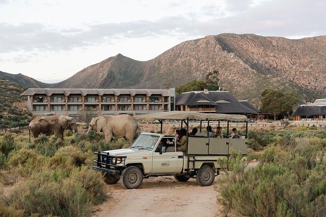 Cape Town Tour, Aquila Safari Game Reserve Overnight & Accommodation - Tour Highlights