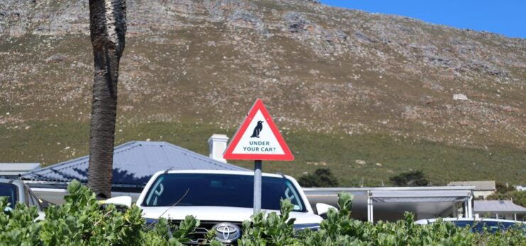 Cape Town: Tour Cape Point & Boulders Beach Penguin Day Trip - Tour Inclusions
