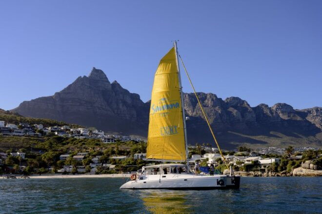 Cape Town: V&A Waterfront Champagne Cruise - Meeting Point