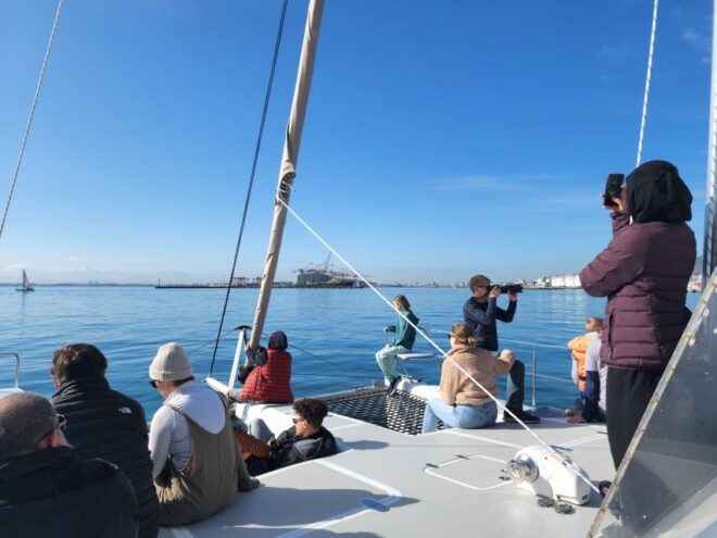 Cape Town: V&A Waterfront Champagne Cruise - Customer Reviews