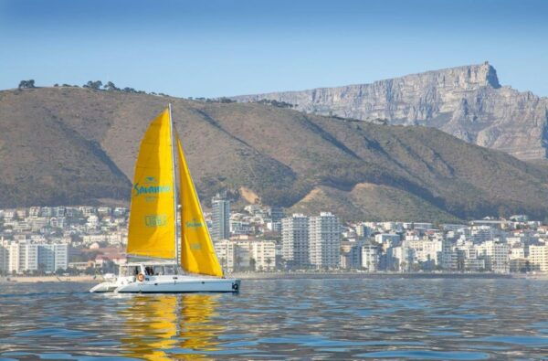 Cape Town: V&A Waterfront Champagne Cruise - The Sum Up