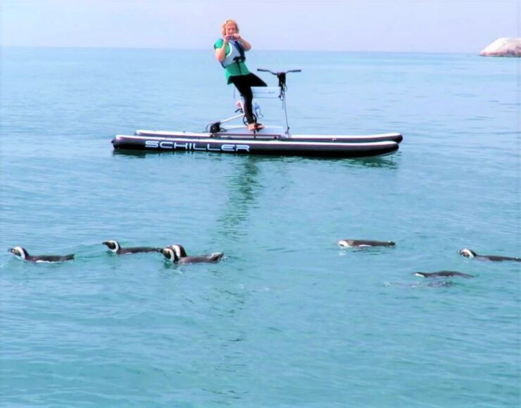Cape Town: Water Biking Tour - Tour Details