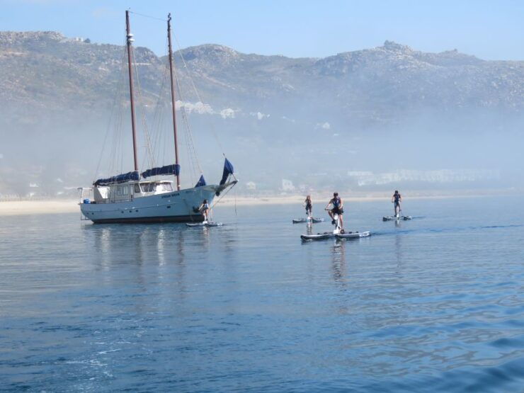 Cape Town: Water Biking Tour - Activity Highlights