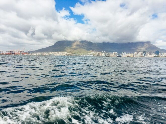 Cape Town: Waterfront and Sunset Champagne Cruise - The Sum Up