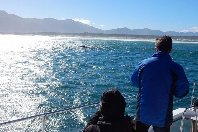 Cape Town: Whale-Watching Experience - The Sum Up