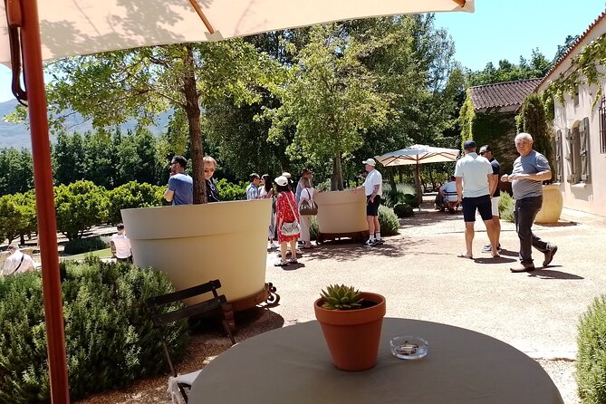 Cape Town Wine Tasting - Wine Tasting Tours and Packages