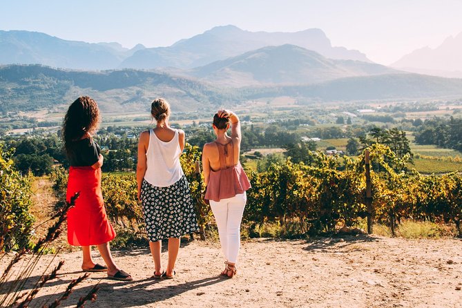 Cape Town Wine Tasting - Food Pairings and Culinary Delights