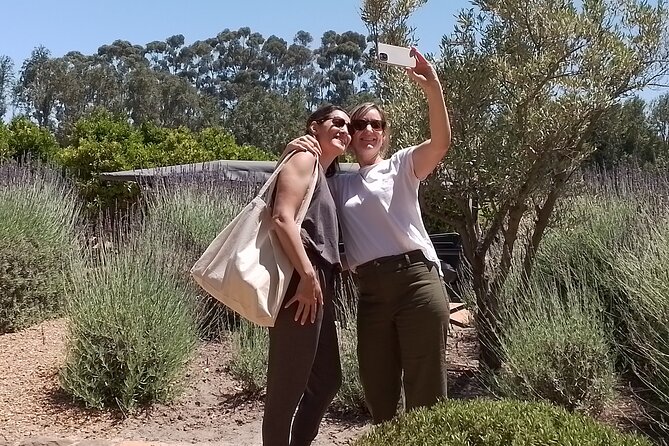 Cape Town Wine Tasting - Tips for a Memorable Wine Tasting Experience