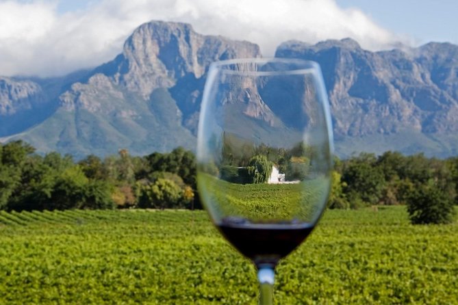 Cape Town, Wine Tasting Private Tour - Wine Tasting at Constantia Glen Winery