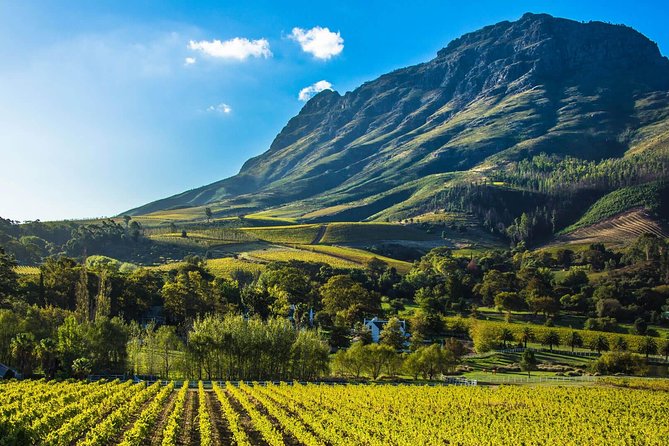 Cape Town, Wine Tasting Private Tour - Duration and Admission Details