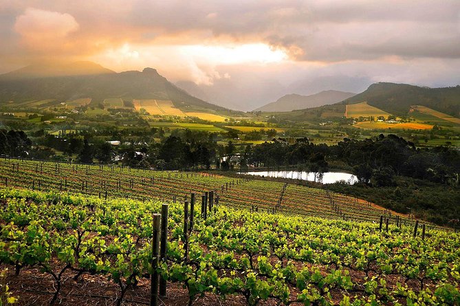 Cape Town: Winelands - Private Full Day Tour - Tour Details
