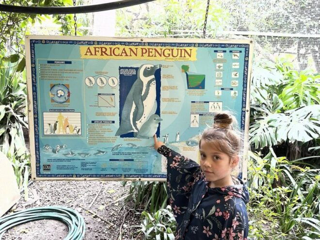 Cape Town: World of Birds & Animal Sanctuary - Experience Highlights and Description