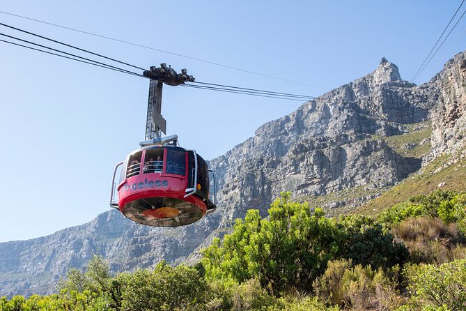 Cape Town Ziplining Wine Tasting and Table Mountain Private Tour - Exquisite Wine Tasting Experience