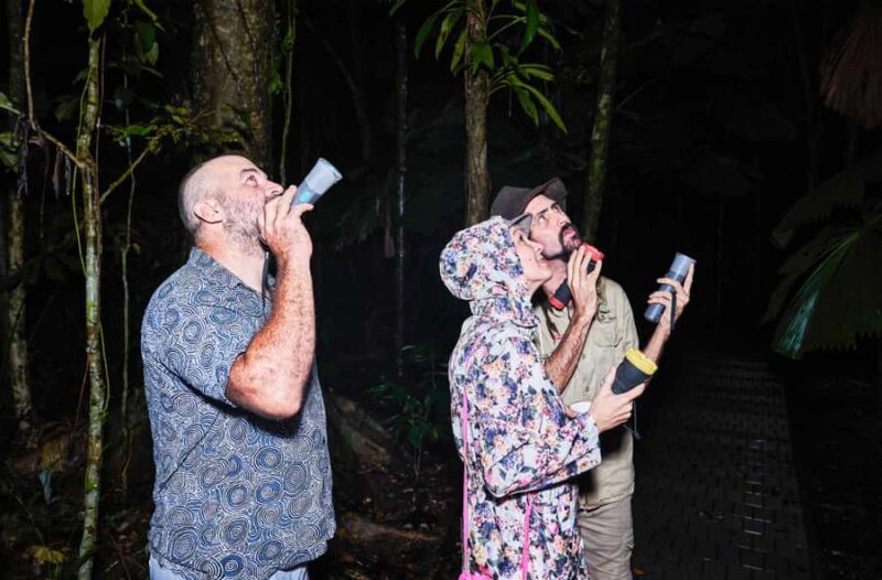 Cape Tribulation: Daintree Rainforest Night Walk Tour - FAQs