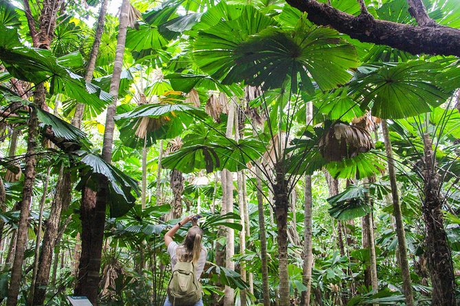 Cape Tribulation & Daintree Wilderness (TCT) - Traveler Photos and Reviews of the Tour