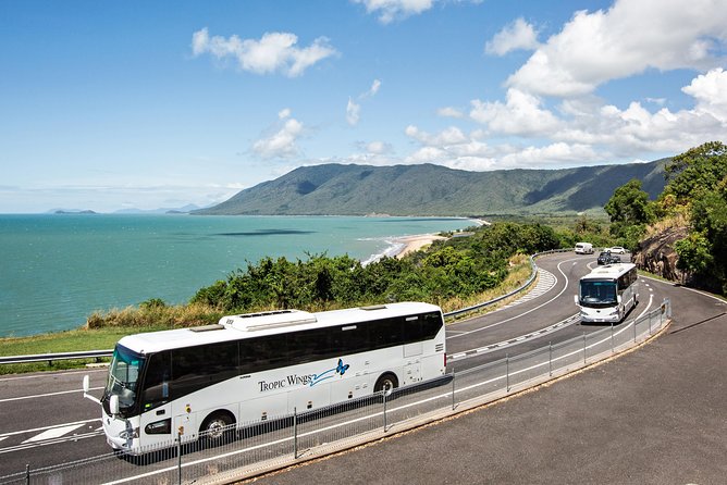 Cape Tribulation & Daintree Wilderness (TCT) - Importance of Weather and Minimum Travelers