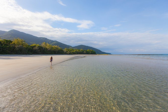 Cape Tribulation & Daintree Wilderness (TCT) - Expert Guide Insights Into Flora and Fauna
