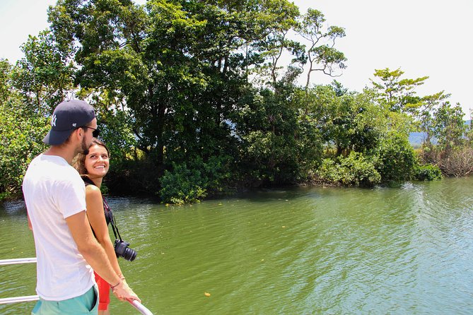 Cape Tribulation & Daintree Wilderness (TCT) - Common Questions