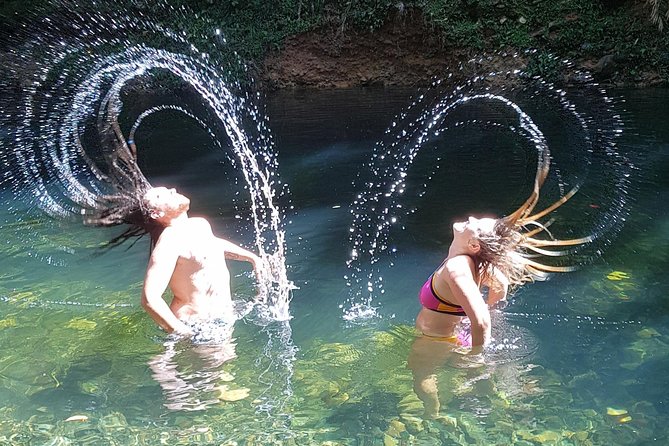 Cape Tribulation Day Tour From Cairns - Tour Overview