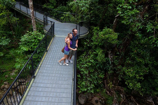 Cape Tribulation, Mossman Gorge, and Daintree Rainforest Premium Day Tour - Tour Overview