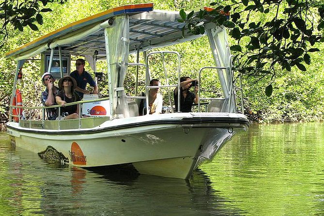 Cape Tribulation, Mossman Gorge, and Daintree Rainforest Premium Day Tour - Reviews and Testimonials